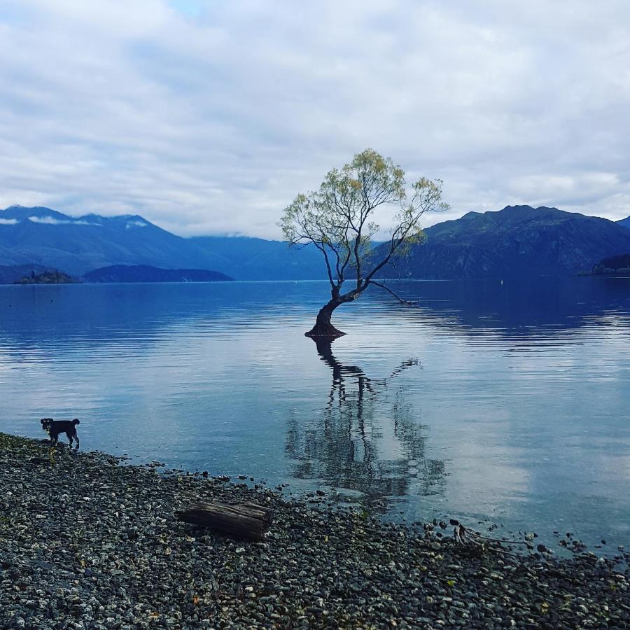 Appartamento Alto On Hedditch Wanaka Esterno foto